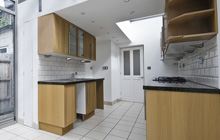 Green Hammerton kitchen extension leads